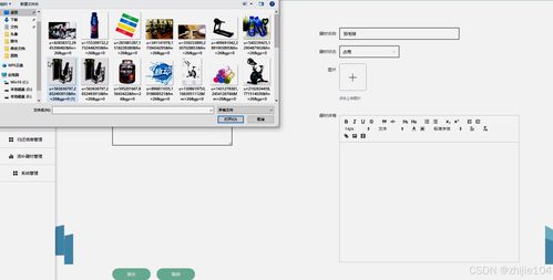 基于Django與Vue的高校體育器材管理系統的設計與實現