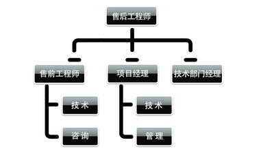 探索IT行業多元就業路徑 技術、咨詢與銷售前景展望